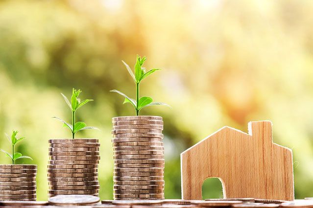 Stacks of coins with plants sprouting from their tops