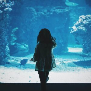 North Carolina Aquarium