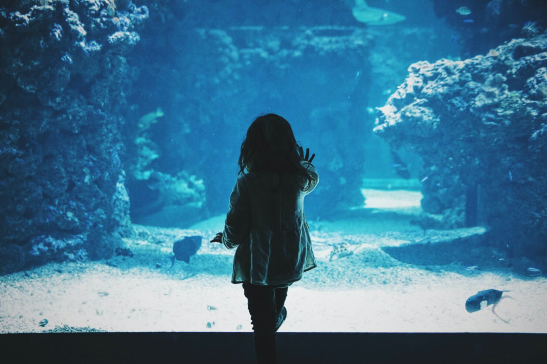 North Carolina Aquarium