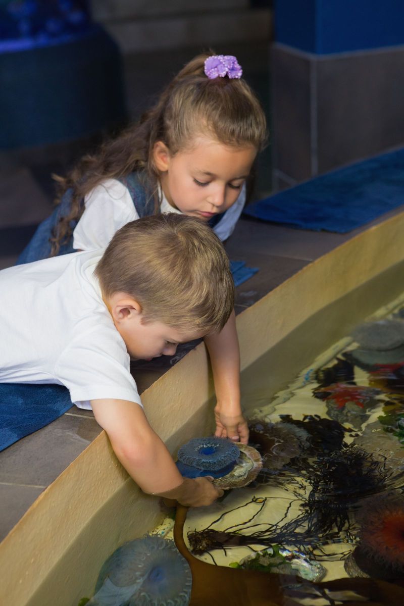 touch tankat aquarium