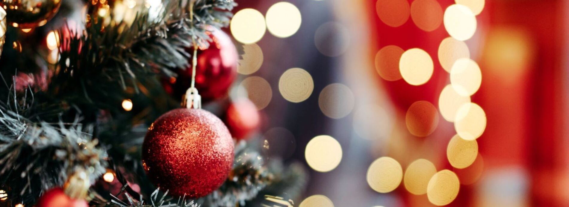 ornament on christmas tree