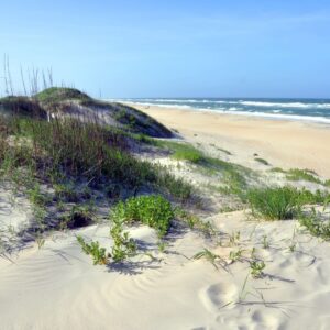sand dunes