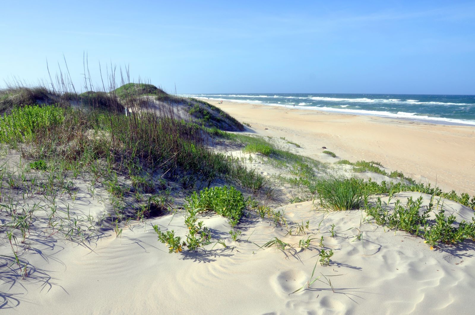 sand dunes