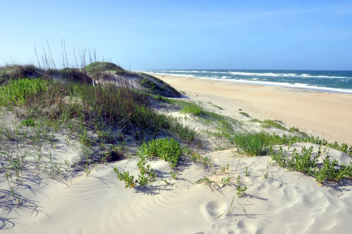beach dunes and ocean