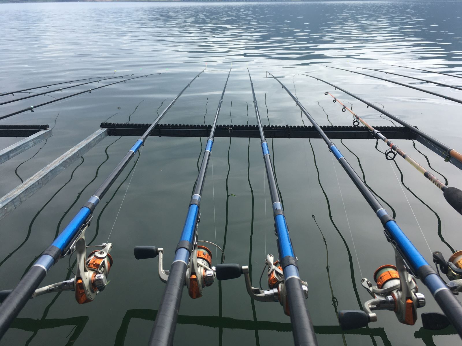 many fishing rods laying side by side