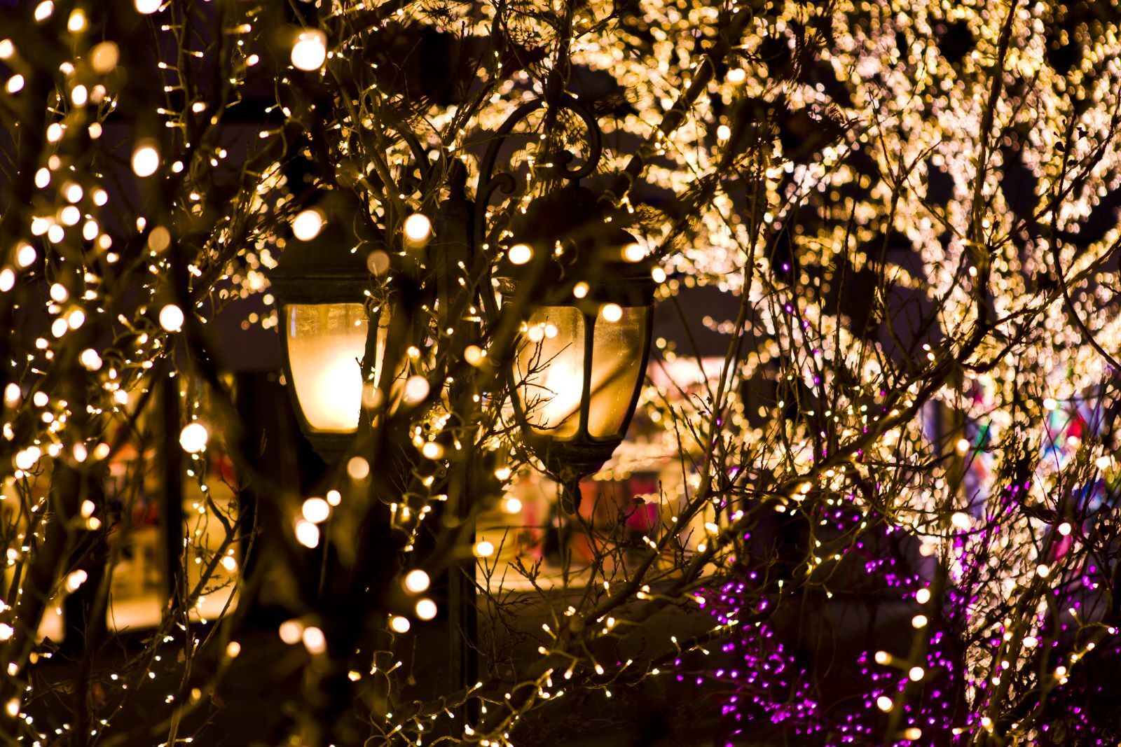Christmas lights in Atlantic Beach