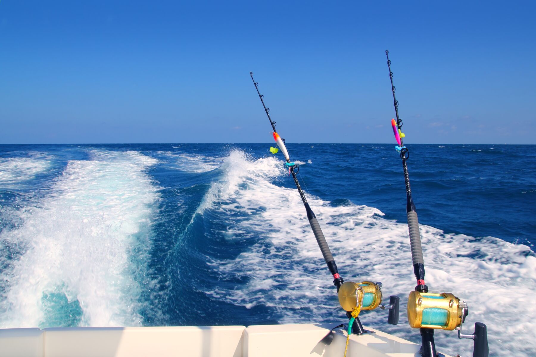 fishing rods at the back of Atlantic Beach fishing charter