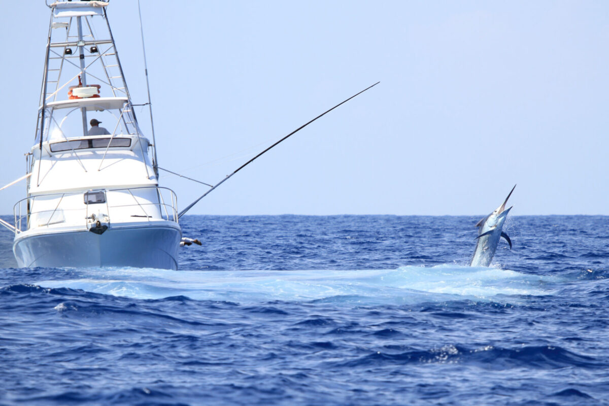fishing charter catching a Marlin in Atlantic Beach