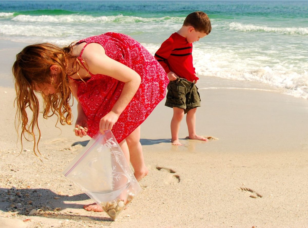 children shelling on the beach