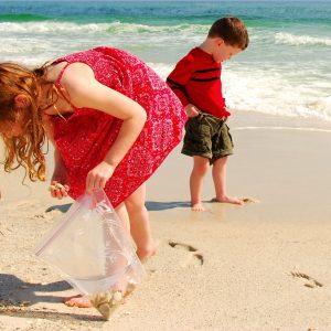 children shelling on the beach